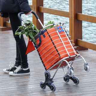 3 Wheel Steel Shopping Cart